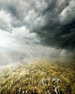 田里的雨场地天空土地牧场草本植物暴风云天气薄雾环境季节图片