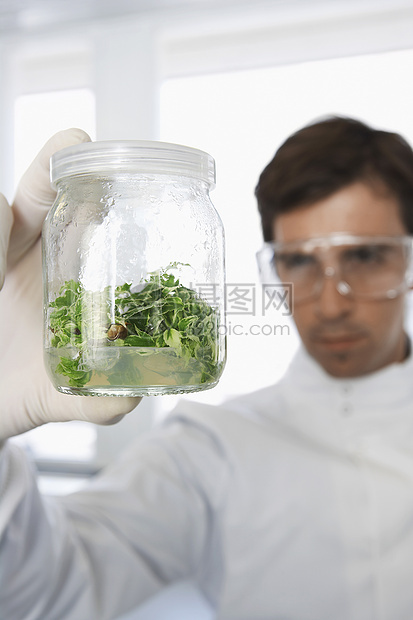 检查植物材料玻璃罐的男科学家;女科学家图片