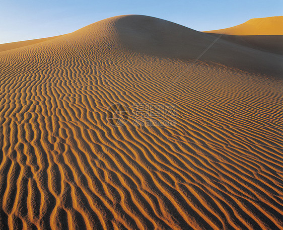 沙沙中的波纹涟漪摄影沙漠沙丘地形地貌气候荒野自然世界图片