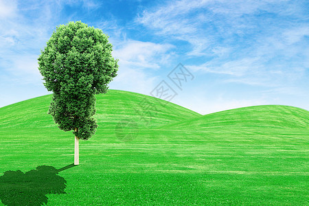 绿草山和有天空的树蓝色叶子国家牧场环境阳光农场远景生长树木图片