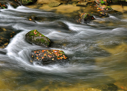 含有石头的秋季河岩石溪流风景苔藓瀑布场景蓝色流动海浪荒野图片