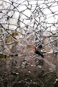 碎玻璃粉碎碎片玻璃窗户图片