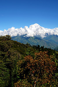 Annapurna山的景象 前往基地营地保护区天空农村旅游辉光蓝色树木高地冰川顶峰风景图片