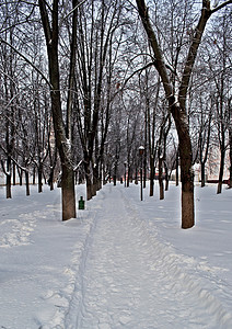 公园中被雪覆盖的小巷图片