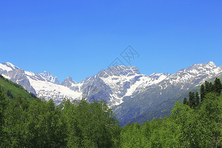 下方的青森林和绿林森林季节高山天空蓝色风景树叶顶峰旅行白色图片