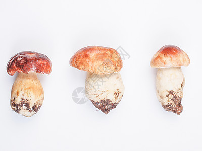 波西尼蘑菇营养常委食物包子美食图片
