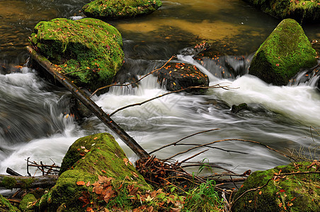 含有石头的秋季河海浪场景森林运动溪流荒野流动岩石蓝色洪水图片