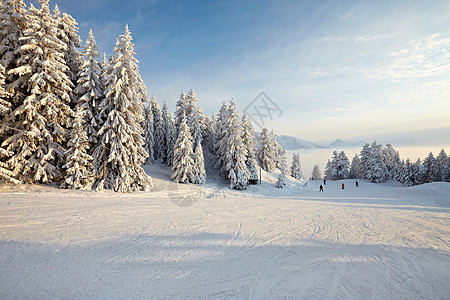 冬季风景滑雪旅行辉光土地森林天空高山假期天气薄雾图片