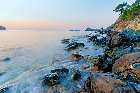 长着平静海和松树的陡峭悬崖图片