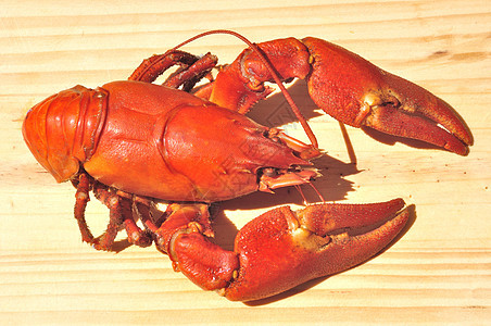 煮熟的鲑鱼红色甲壳类贝类动物食物海鲜烹饪图片