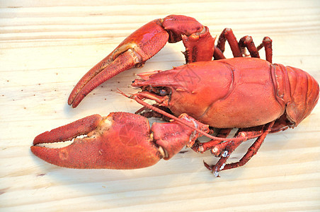 煮熟的鲑鱼食物海鲜烹饪贝类甲壳类动物红色图片