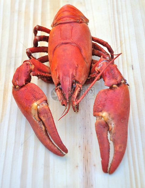 煮熟的鲑鱼红色贝类甲壳类动物海鲜食物烹饪图片