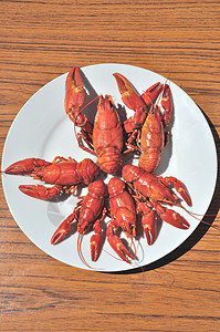 煮熟的鲑鱼食物动物贝类红色海鲜烹饪甲壳类图片