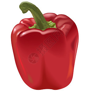 红辣椒蔬菜红色植物宏观插图食物健康饮食图片