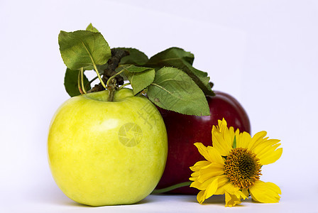 黄黄花 绿色和红苹果植物群营养甜点黄色叶子饮食食物白色水果植物图片