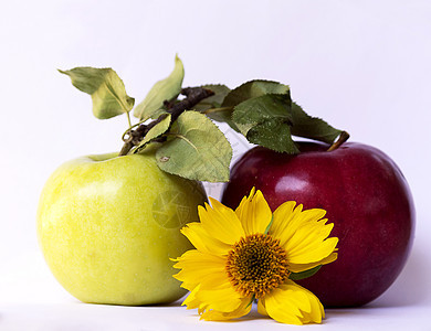 黄黄花 绿色和红苹果营养农业植物水果食物饮食植物群白色叶子甜点图片