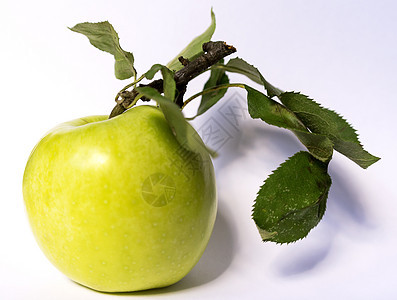白色背景上的绿苹果营养农业饮食食物甜点叶子水果绿色图片