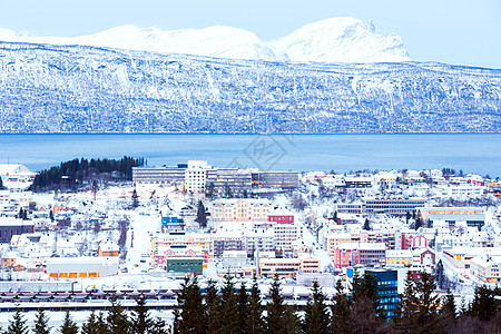 Narvik 城市风景图片