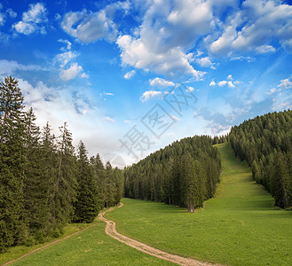 美丽的多洛米人森林 意大利阿尔卑斯山草地和树木绿色全景天空旅行场地山脉旅游森林高山图片