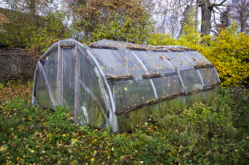秋天农场花园中的旧原始塑料温室图片
