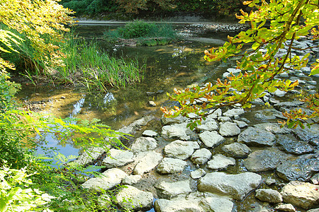 江河岩石河床石床溪流池塘石灰石花岗岩农村石头鸭子图片