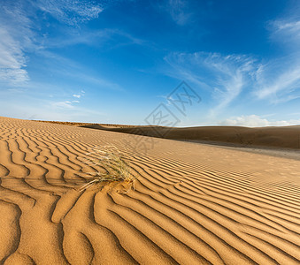 印度拉贾斯坦邦Thar沙漠的Dunes观光日光土地沙丘天空旅游沙漠风景日落旅行图片