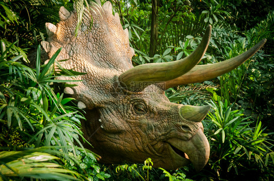动物园公园公园生态雨林动物园科学爬虫生物学怪物危险乐趣图片