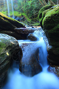 瀑布森林国家风景绿色热带雨林场景地标气候运动植物图片