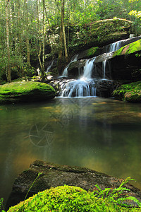 瀑布风景森林植物场景热带叶子运动岩石气候绿色图片
