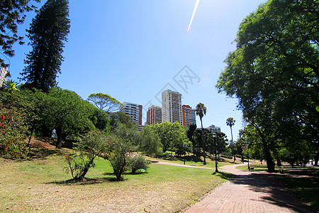 布宜诺斯艾利斯广场蓝色植物城市建筑建筑学广场公园绿色天空大厦图片