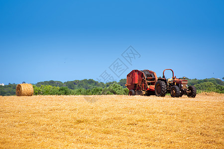 Menorca将拖拉机小麦与圆包结合使用收成谷仓土地稻草植物季节机械国家车轮农田图片