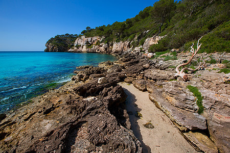 松绿的Balearic地中海晴天蓝色海滩石头太阳海岸地标波浪天堂海景图片