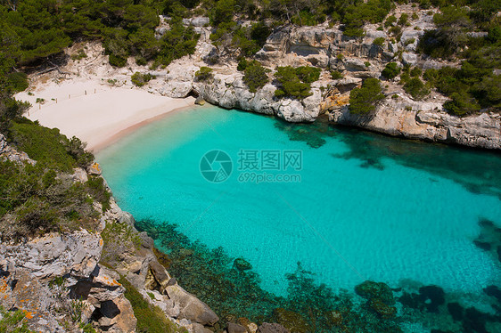 巴利阿里群岛Menorca的太阳海洋树木石头海景支撑晴天蓝色旅行岩石图片