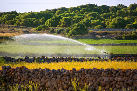 在Menorca巴利阿里克的谷物田上灌溉图片