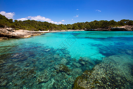 Balearic 地中海的中年卡拉和假期岩石太阳海岸线地标悬崖晴天支撑海滩蓝色图片
