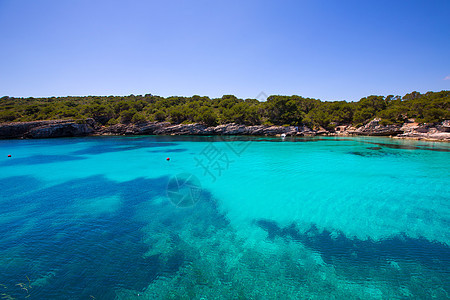 Balearic 地中海的中年卡拉和海岸海洋太阳天空晴天旅行悬崖天堂蓝色海滩图片