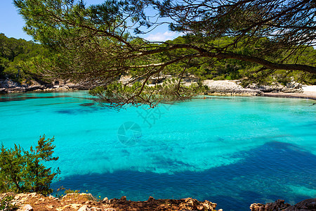 Balearic 地中海的中年卡拉和海洋蓝色天空海岸海岸线旅行天堂石头海景树木图片