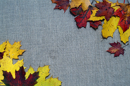 织布秋叶的背景背景红色风格麻布课程棕色橙子叶子边界黄麻织物图片