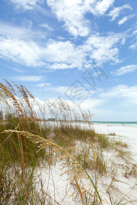 佛罗里达州热带假期游客棕榈海湾海洋旅行蓝色太阳地平线图片