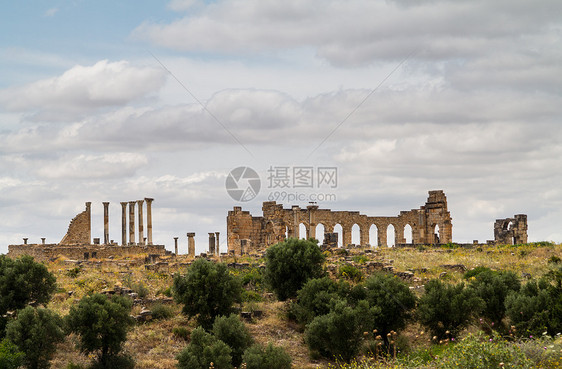 摩洛哥Volubilis的废墟古物柱子纪念碑遗产地标历史性考古学建筑学古董历史图片