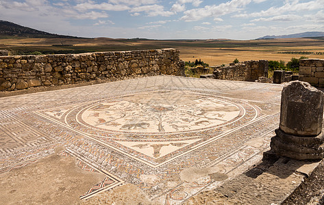 摩洛哥Volubilis的废墟考古学平铺考古马赛克旅游石头地标纪念碑历史古董图片
