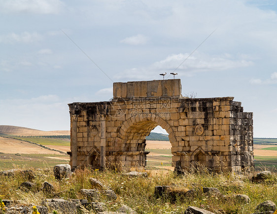 摩洛哥Volubilis的废墟考古历史古物纪念碑遗产石头历史性古董旅游建筑学图片