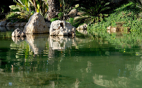 湖水反应 西班牙阿利坎特棕榈园园林公园建筑学环境情调石头棕榈森林异国旅游图片