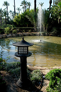 西班牙阿利坎特棕榈园建筑学棕榈公园喷泉植物群反射园林热带地球叶子图片