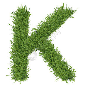 以草草制成的字母字母生长地球艺术数学插图绿色植物数字植物环境草地图片