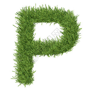 以草草制成的字母字母生态数字环境草皮绿色植物插图生长白色字体数学图片