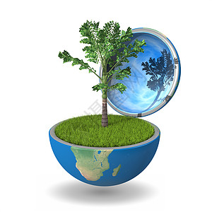 行星内棕榈树蓝色生态白色天空生物棕榈地球绿色世界植物图片