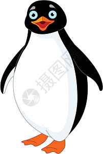 企鹅宠物插图卡通片幸福乐趣动物快乐荒野夹子橙子图片