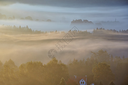 波希米亚瑞士的雾亮森林国家土地天空季节草地太阳环境爬坡旅行图片