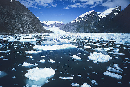 Bay湾水面浮冰图片